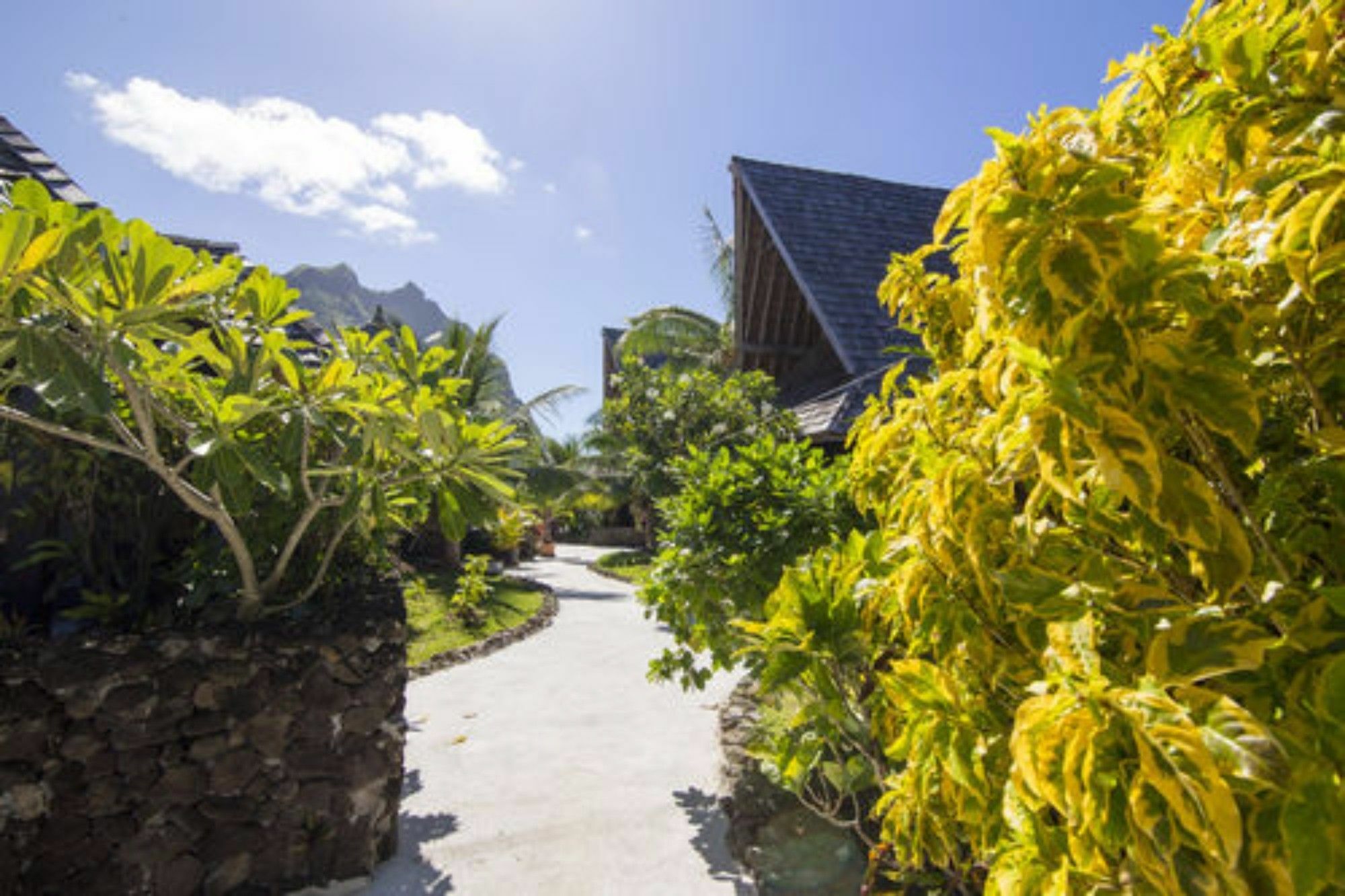 Oa Oa Lodge Bora Bora Esterno foto